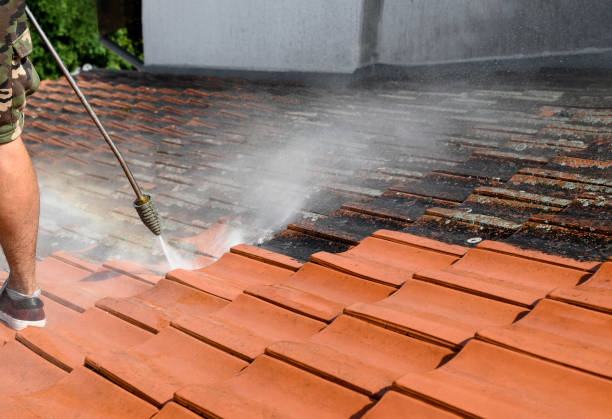 Best Roof Pressure Washing  in French Mp, CA